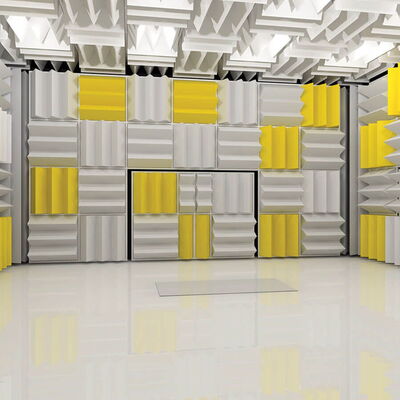 Anechoic Chamber